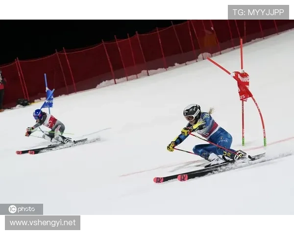 世界杯美国滑雪精神奖（美国滑雪协会）sports